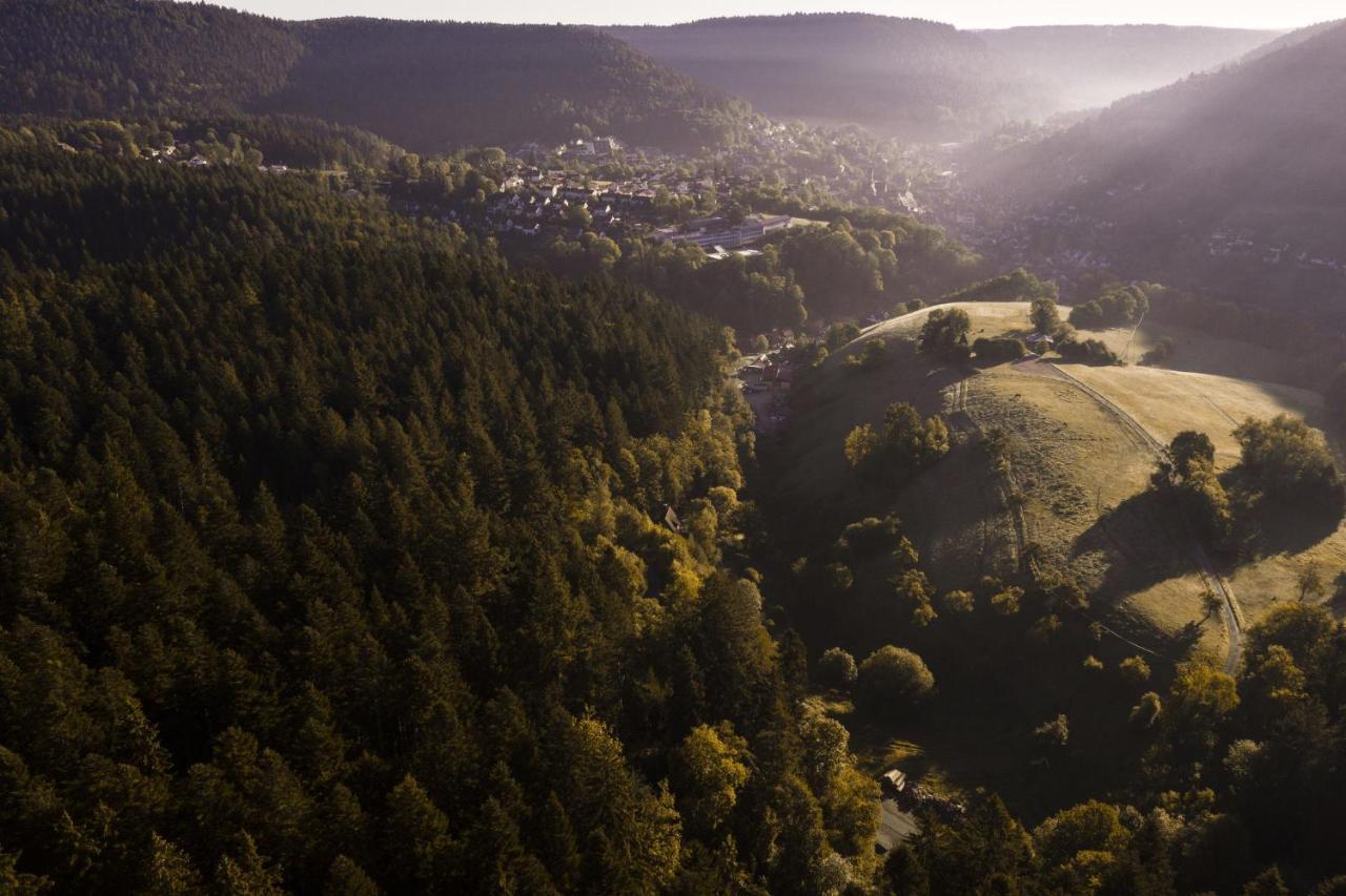 Schweizerhaus Villa Alpirsbach Kültér fotó